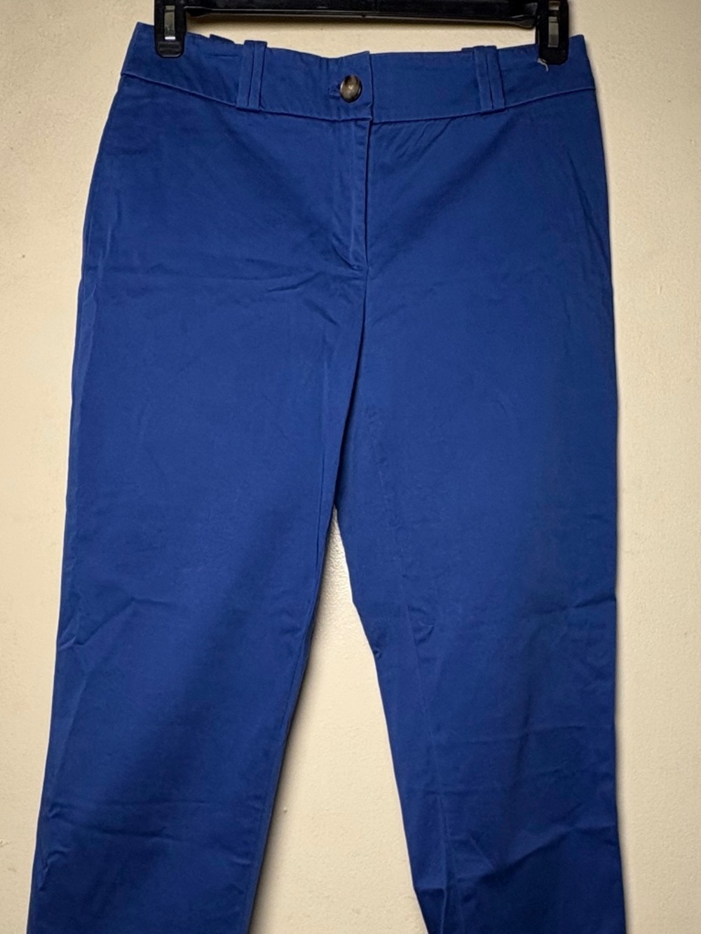 LOFT Capri Pants Blue Size 6